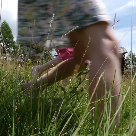 Haus Pitterl Apartament